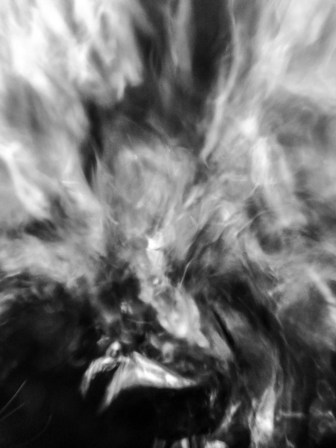 Unveil II