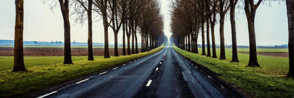 road.jpg