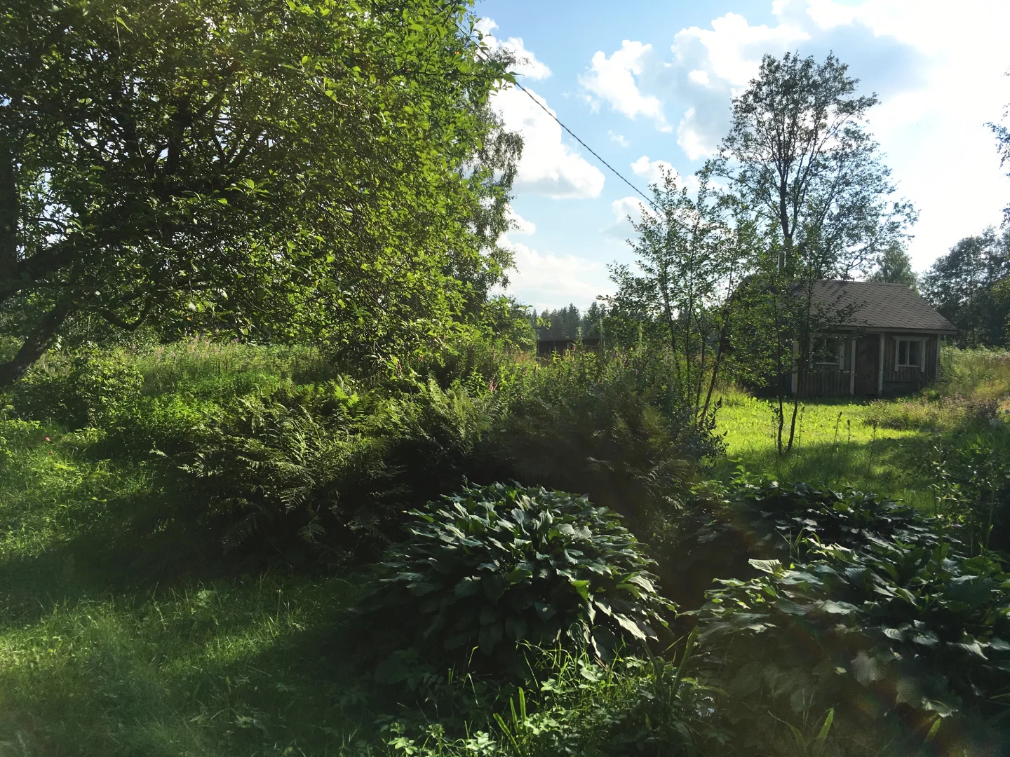 Olo Center yard3.jpg