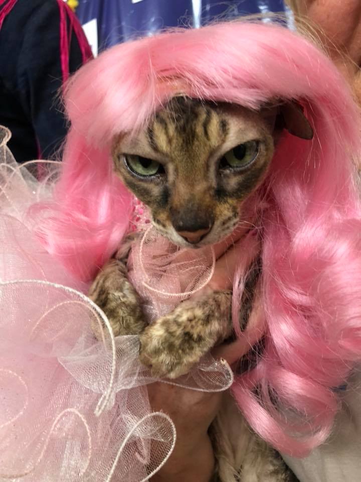 Coco.