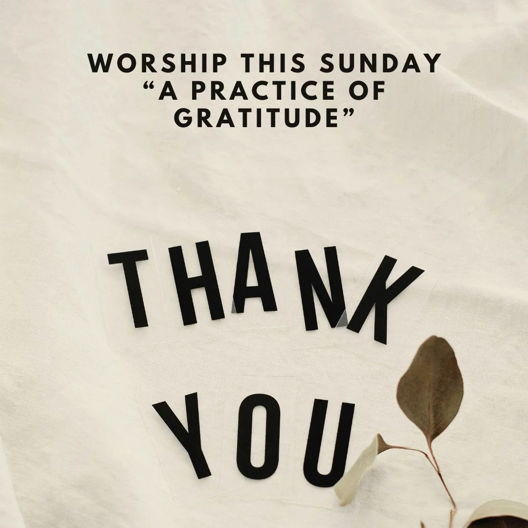 Join us this Sunday for our weekly service. This week, Rev. Aileen will discuss the practice of gratitude. 

It only takes a moment to be grateful. We can be grateful for the larger things, a new house, a dream job and we can also be grateful for the