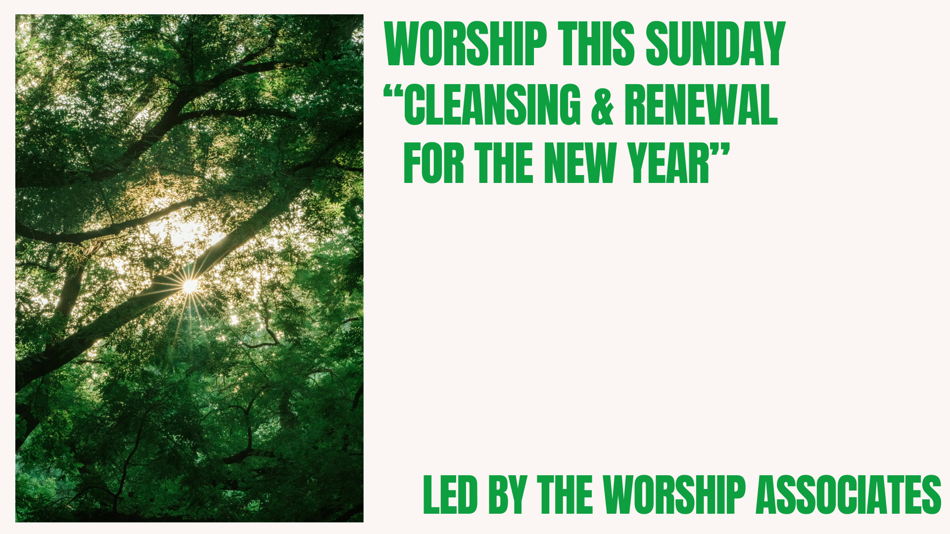 Cleansing Slide .png