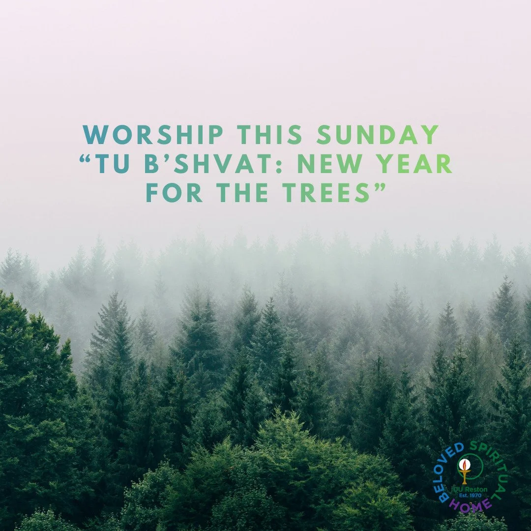 Join us this Sunday, as guest minister Rev. Charlotte Lehmann reflects on the meaning of Tu B&rsquo;Shvat and invites us to celebrate it together.

At sundown on February 1st, Tu B&rsquo;Shvat, one of the four new years in the Jewish calendar, begins