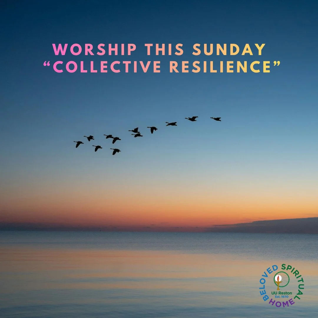 Join us this Sunday at 10am for our weekly service. This week, Rev. Aileen will ponder the meaning of collective resilience. 

How do we work together to create a resilient society in light of future uncertainty? It is important to cultivate resilien