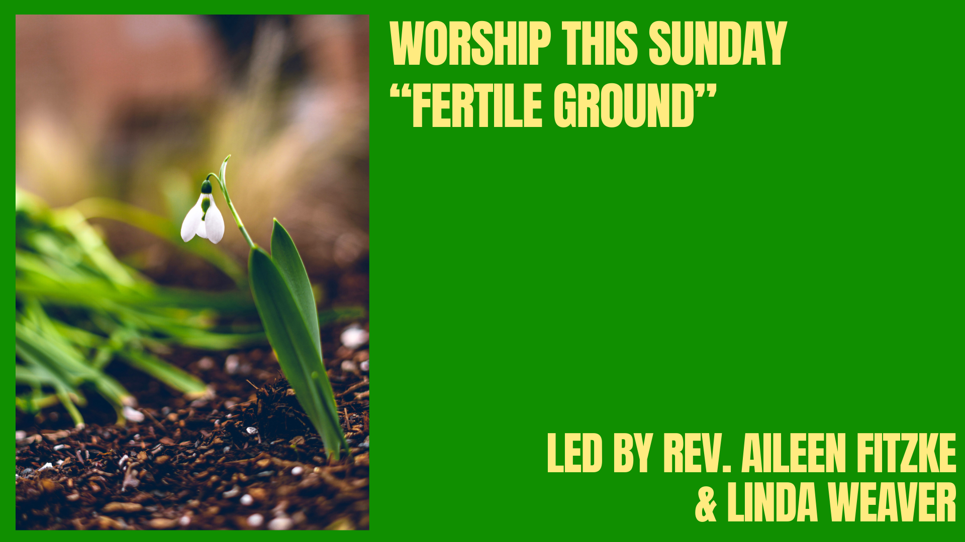 Fertile Ground Worship(1).png