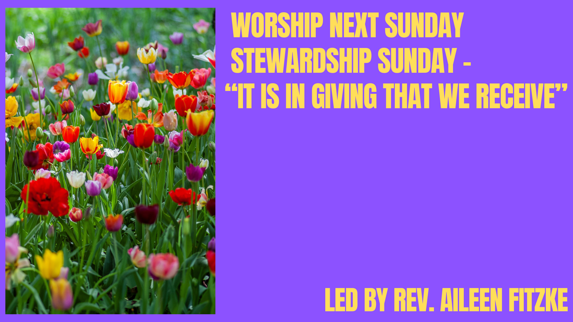 Copy of Fertile Ground Worship(1).png