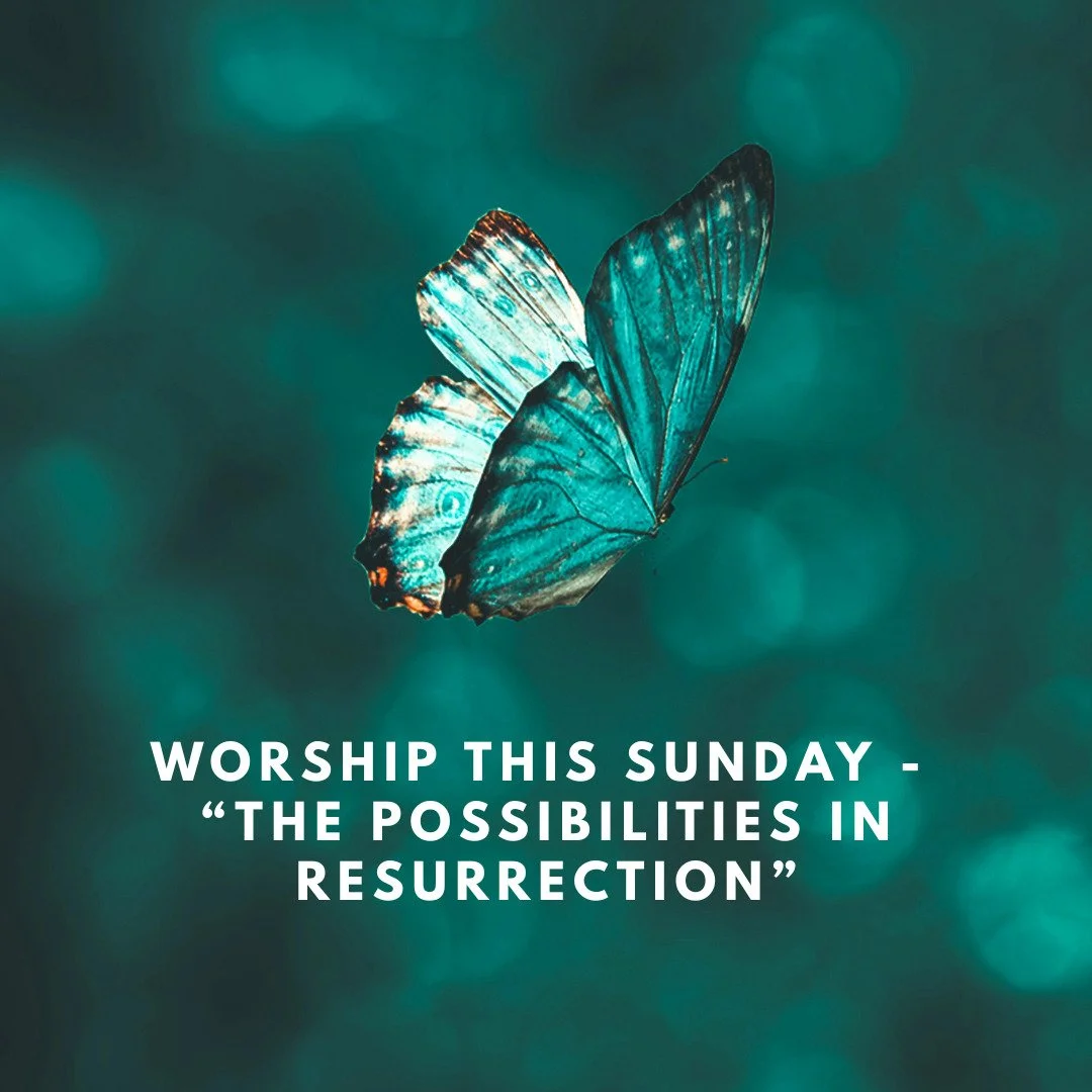 Join us this Sunday at 10am for our weekly service! This week, Rev. Aileen will explore the possibilities in the concept of resurrection. 

At Easter our Christian siblings remember the Resurrection of Jesus. While UUs don&rsquo;t necessarily believe