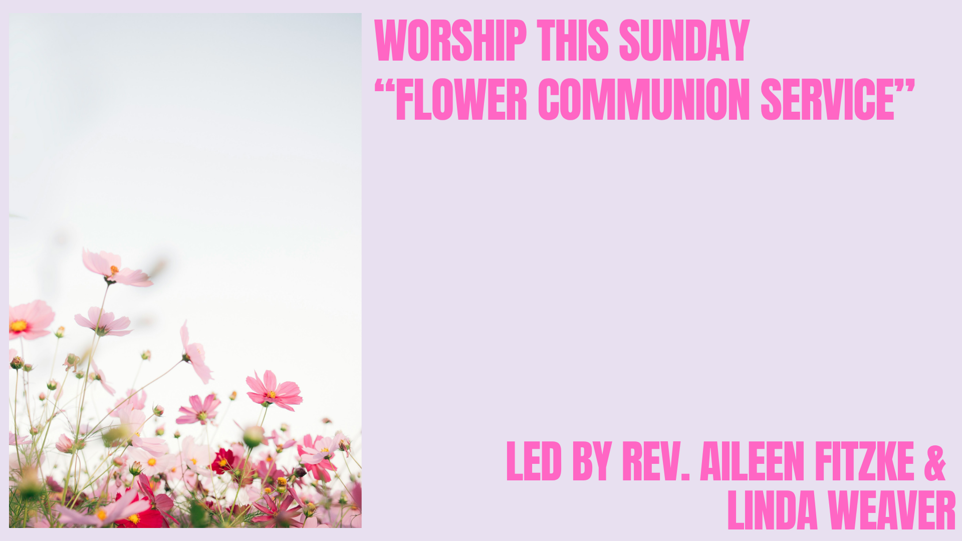 Flower Worship(1).png