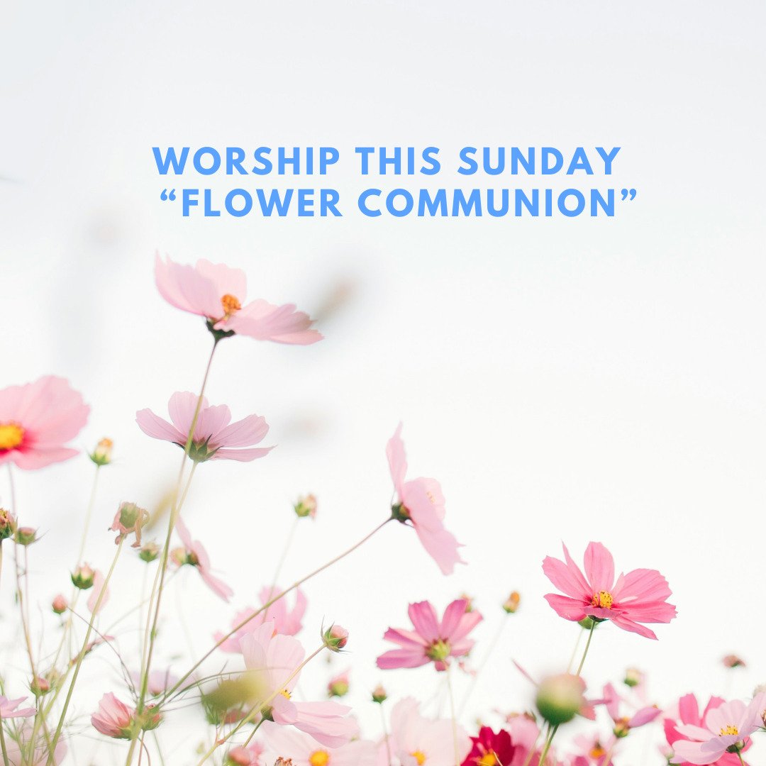 Join us this Sunday at 10am for our weekly service. This week, we will be holding our annual Flower Communion. 

The Flower Communion is a much-loved UU tradition that celebrates the beauty of the Earth and humanity. We will also celebrate the gifts 