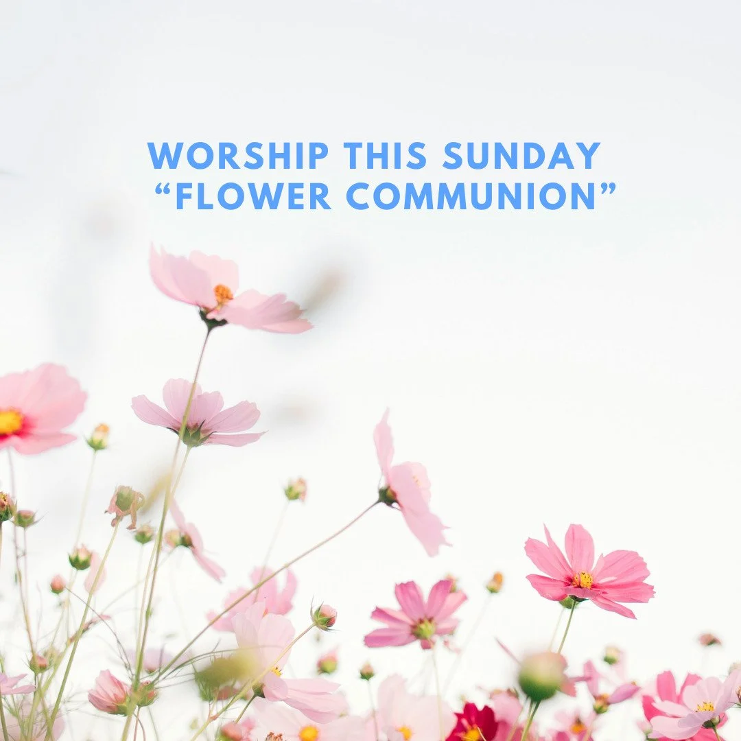 Join us this Sunday at 10am for our weekly service. This week, we will be holding our annual Flower Communion. 

The Flower Communion is a much-loved UU tradition that celebrates the beauty of the Earth and humanity. We will also celebrate the gifts 