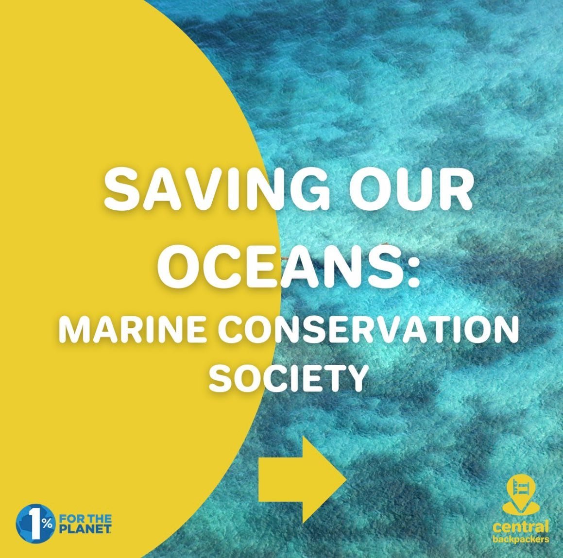 As part of our commitment through 1% For The Planet, we donated part of our sales to the Marine Conservation Society.

Greg, one of our owners, chose this organization because of his passion for the ocean. Growing up on the coast of Australia, he obt