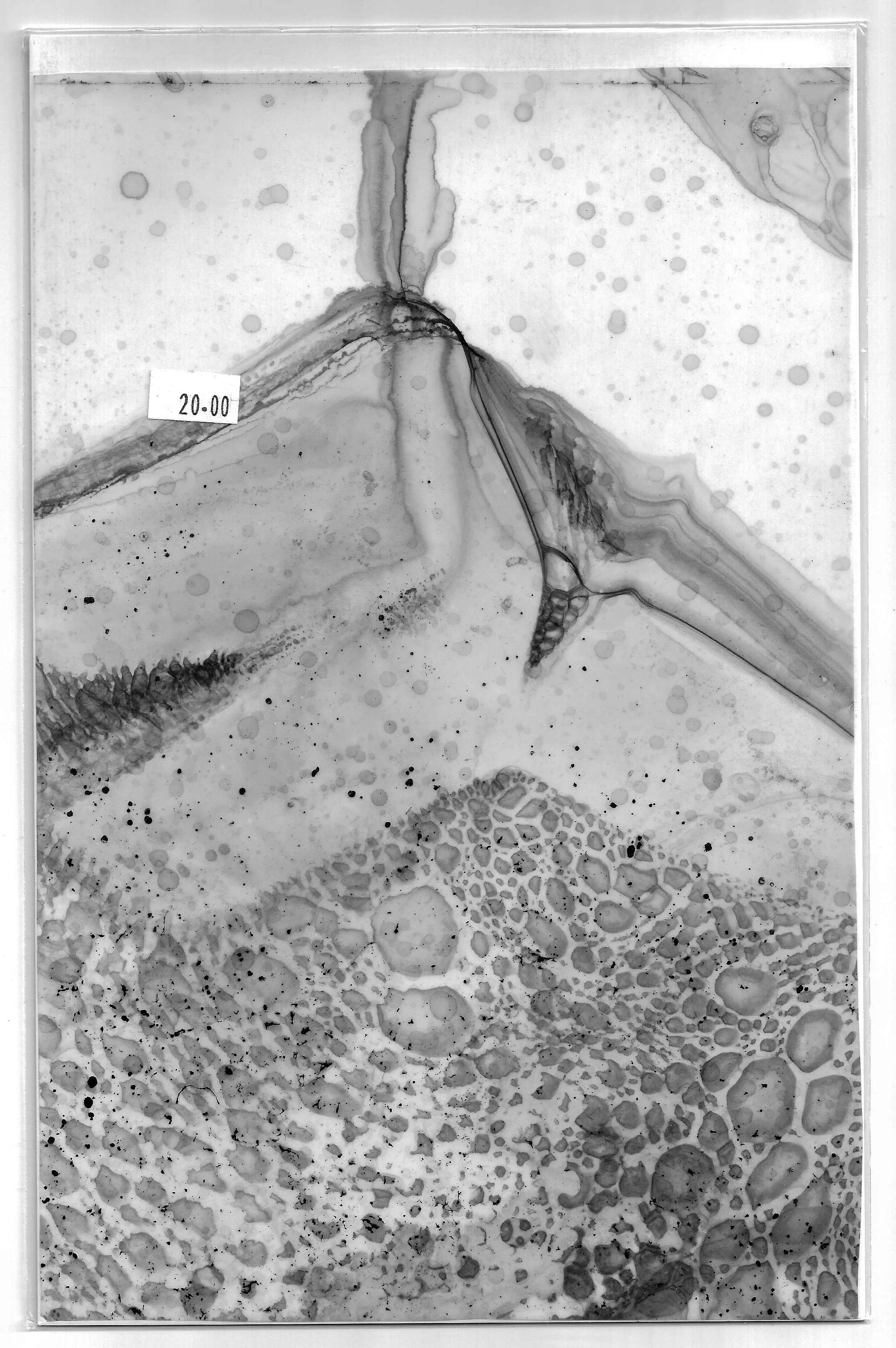 Scan 2.jpg