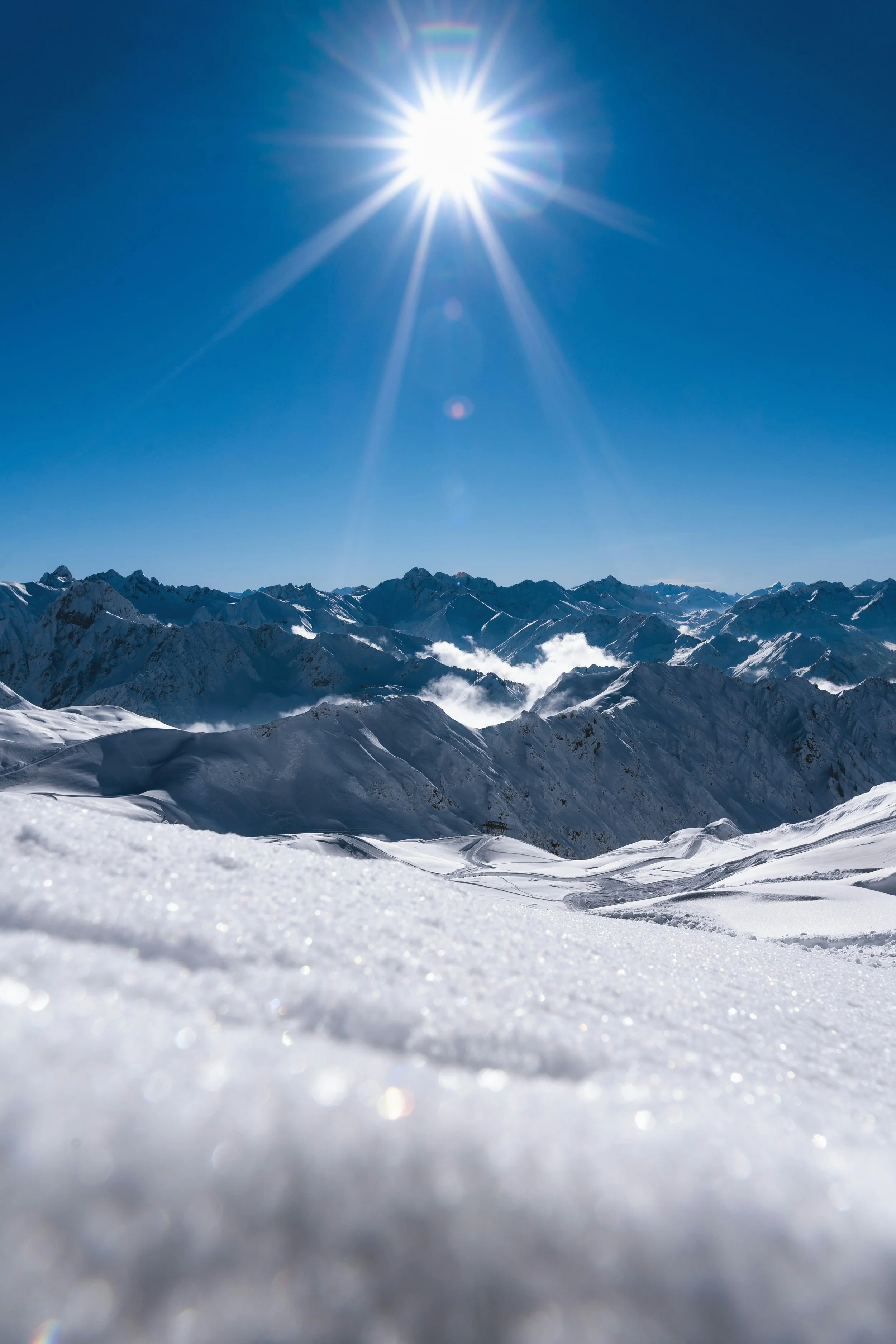 max-saeling-o64SiMiLQp8-unsplash.jpg
