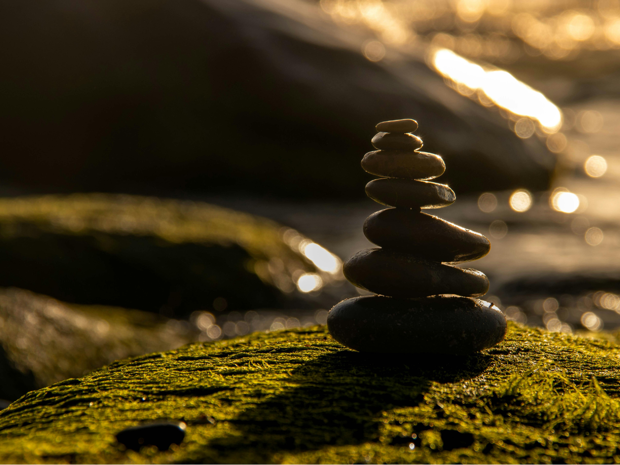 PHC Course Quotes (15).png