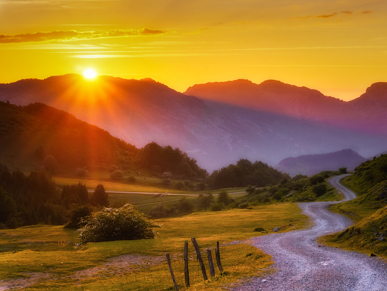 PHC Course Quotes (14).png