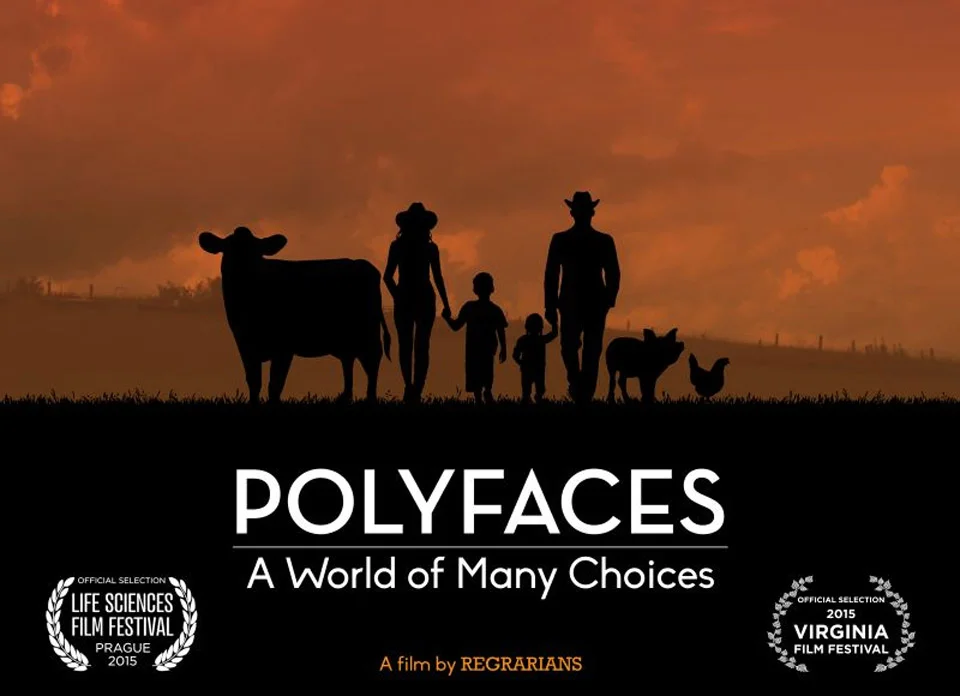 polyfaces.jpg