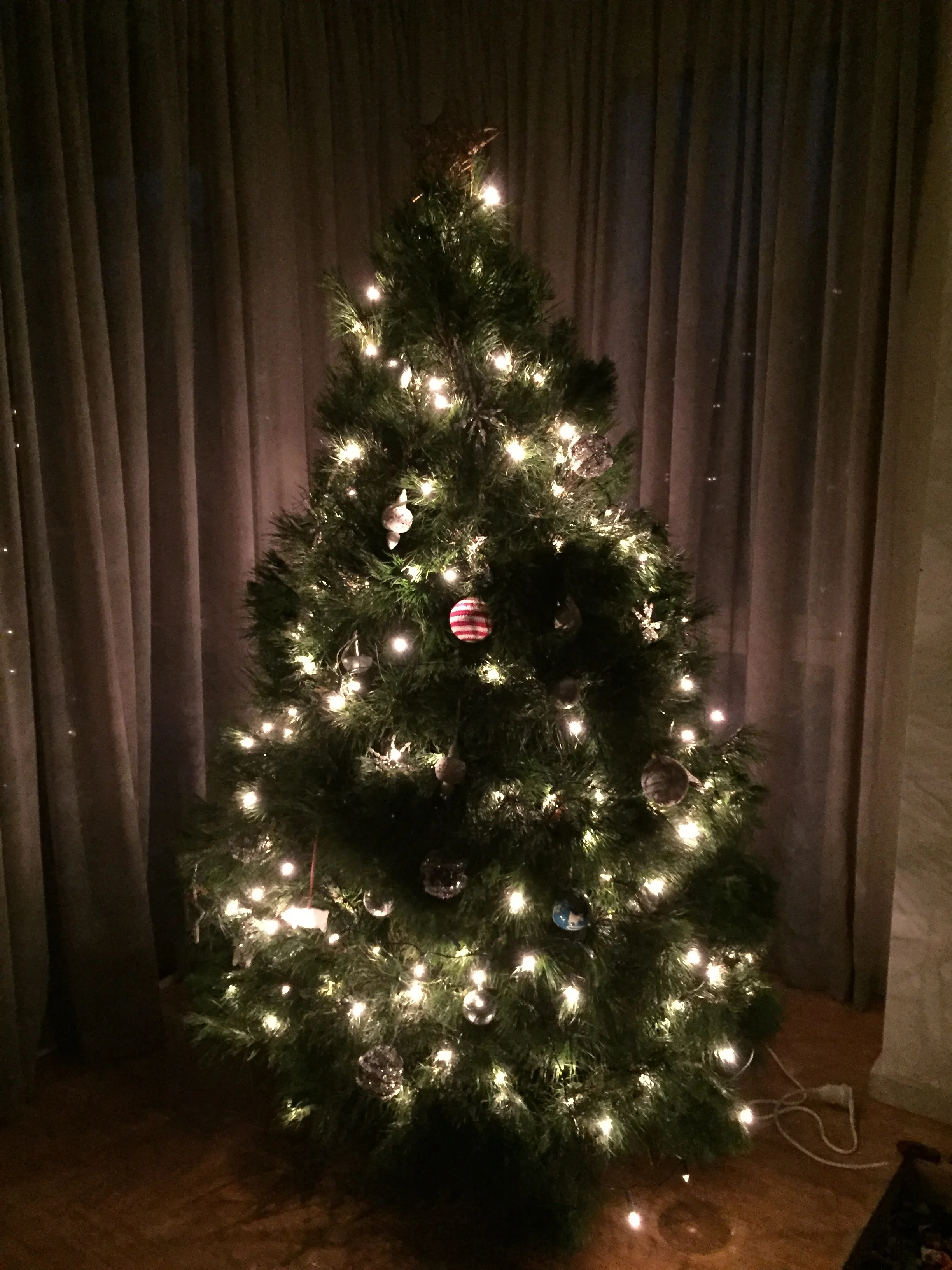 Christmas tree.jpg