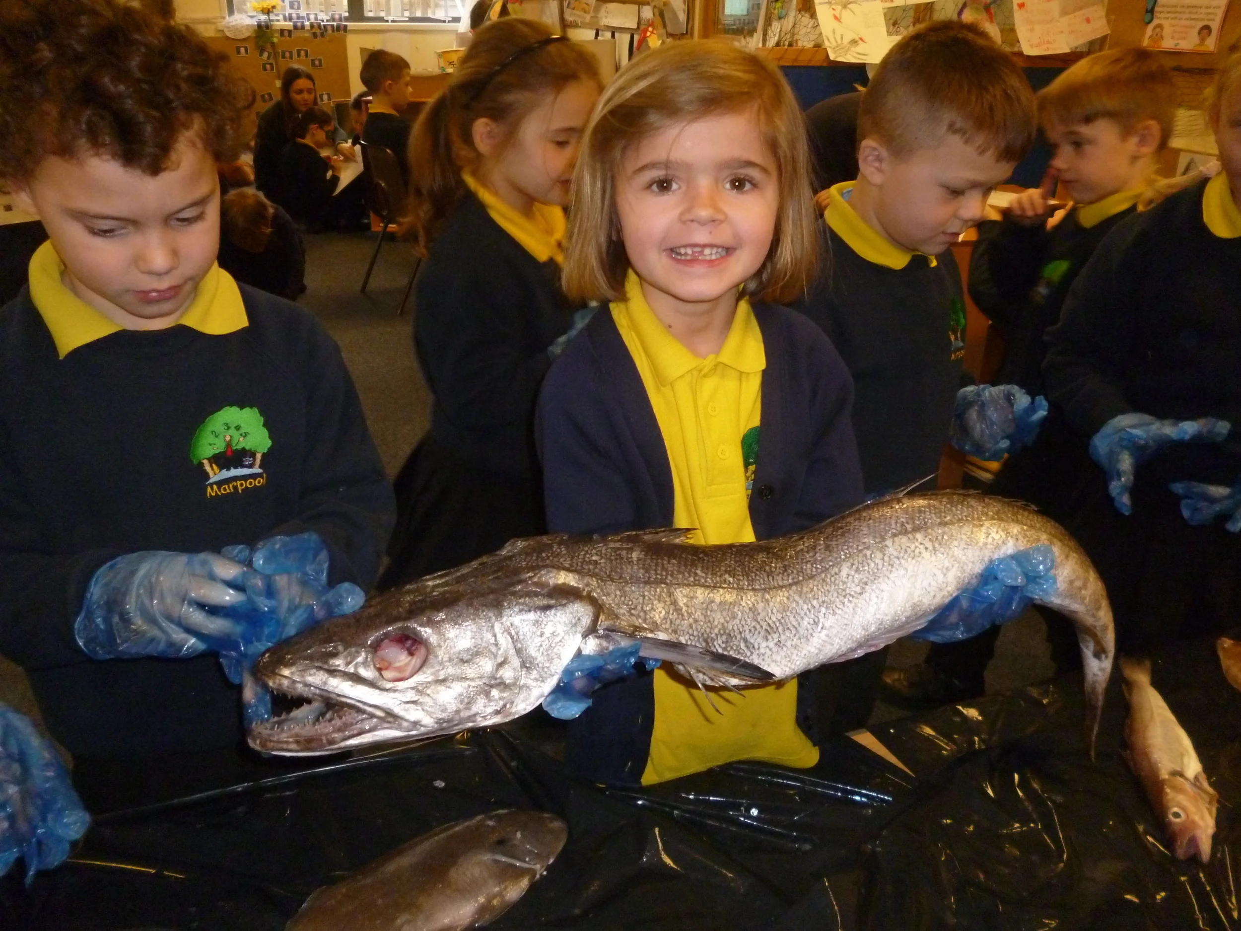 The kids got to handle and touch the fish