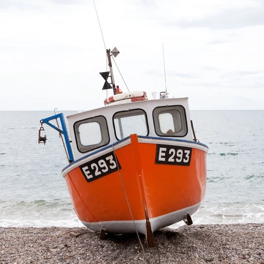 If we are unable to source MSC Certified Fish we ensure our fish comes from trusted suppliers and as been responsibly sourced.