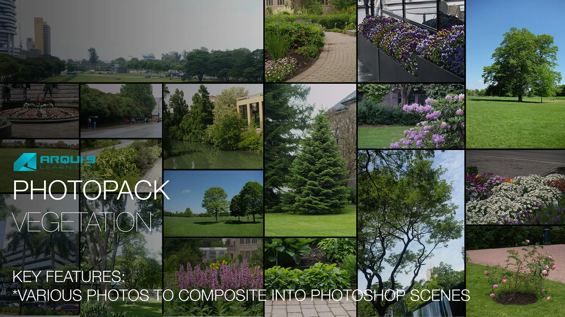 Photopack-Vegetationt_Template.jpg