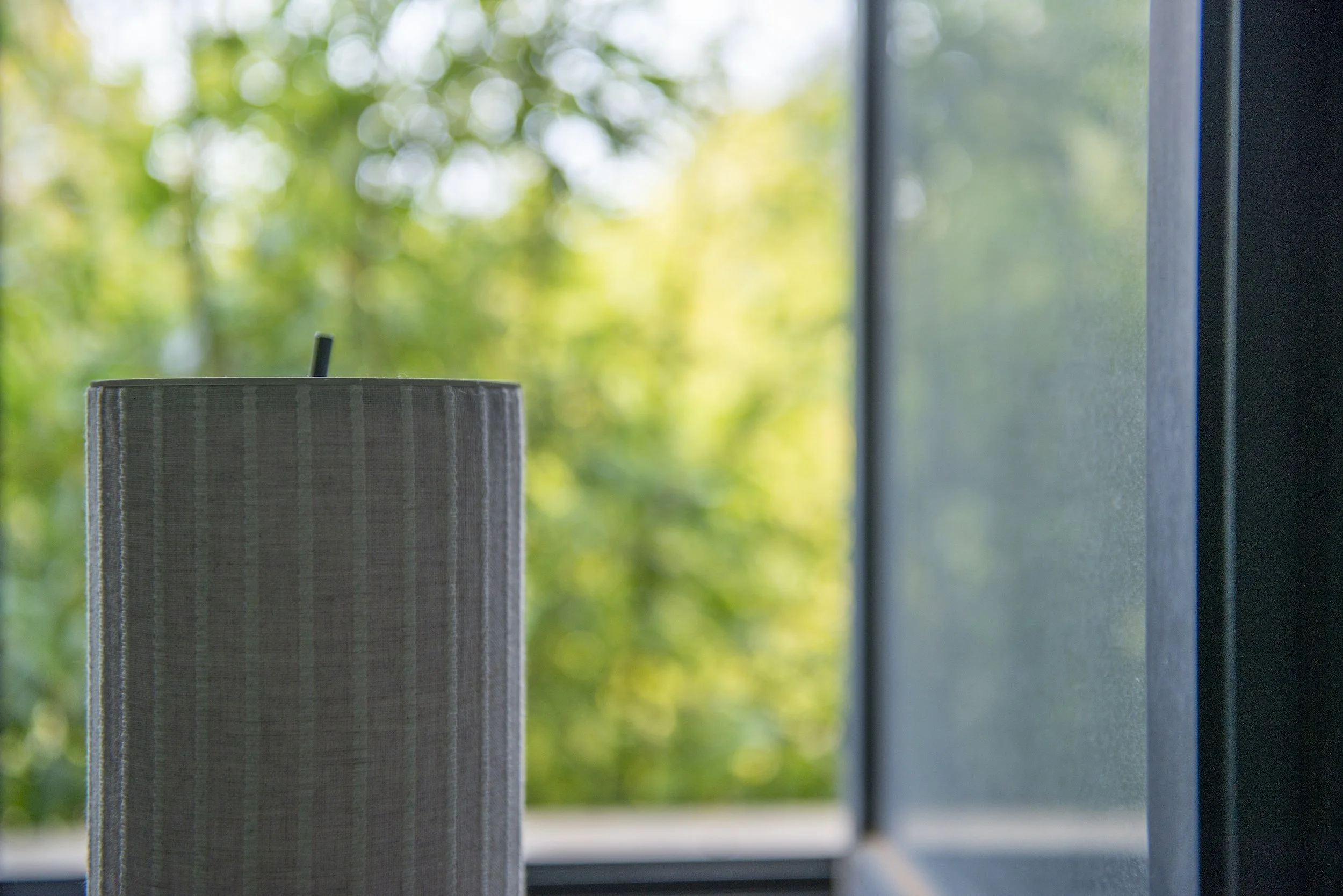 3M_LEO5145 (reducida).JPG