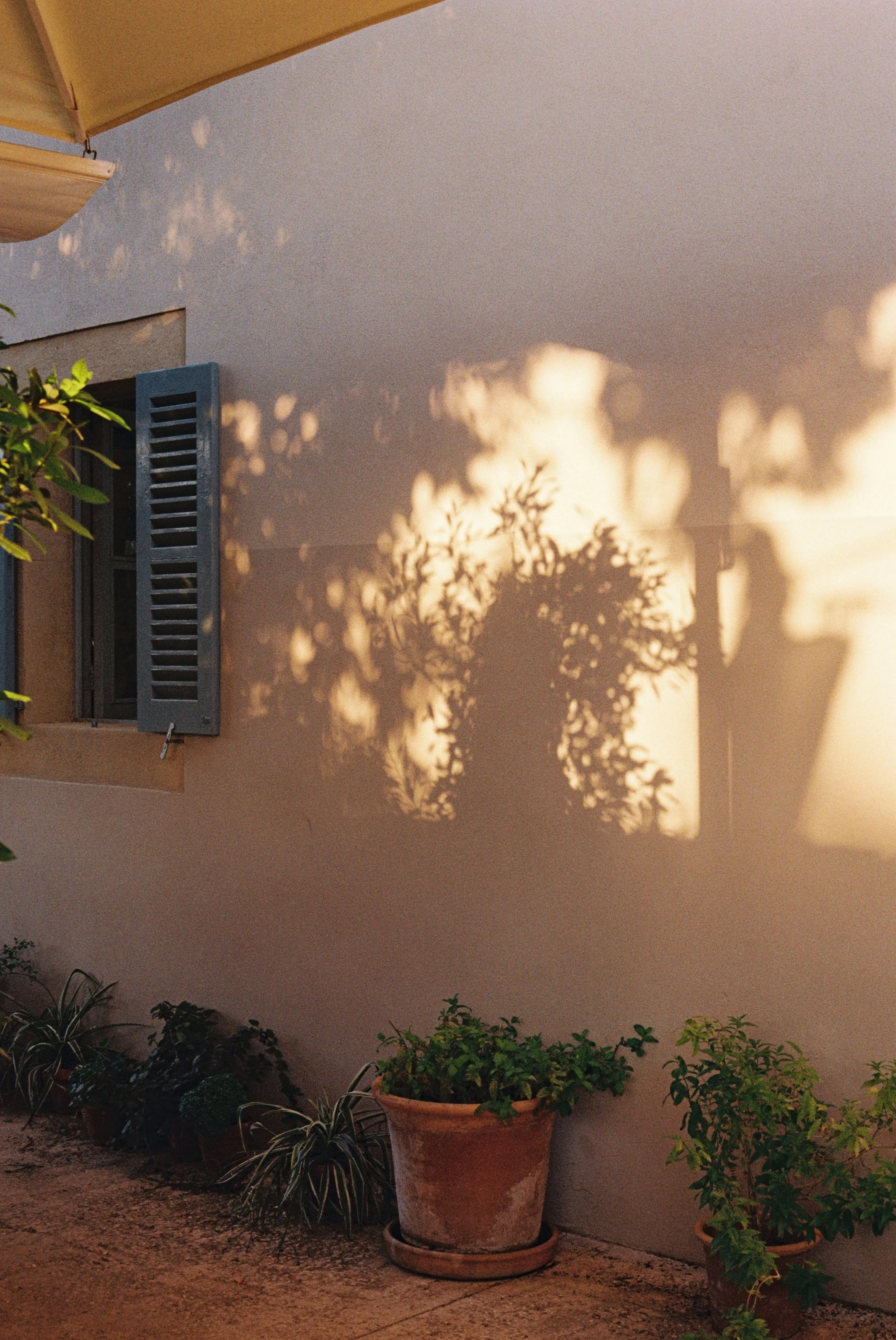 0001556-R1-14-15.JPG