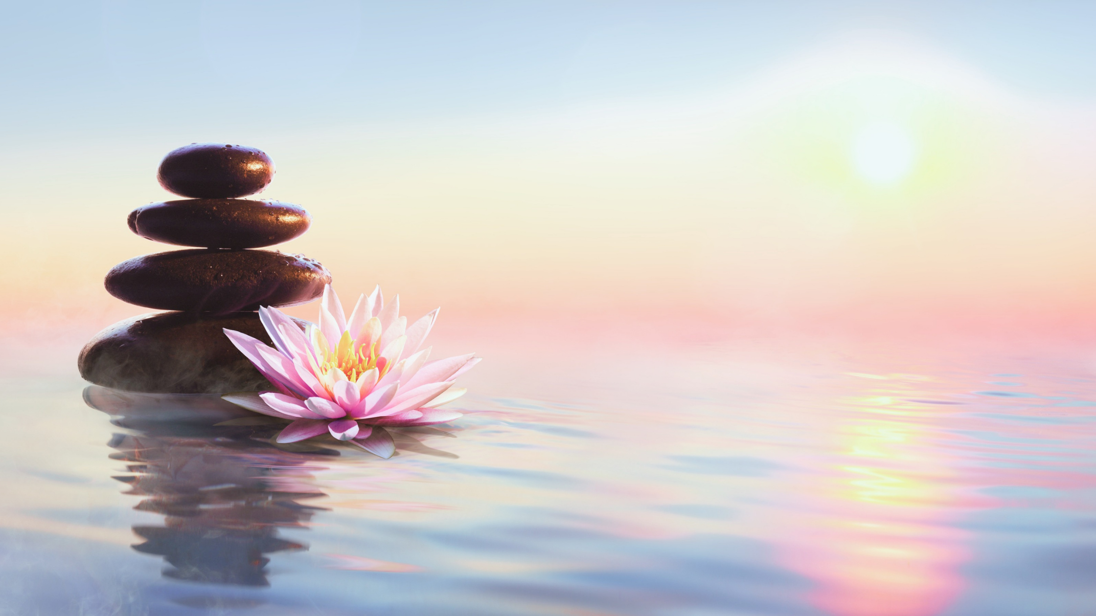 MCM Website Graphics (10).png