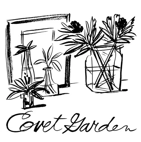 covet_web2.jpg