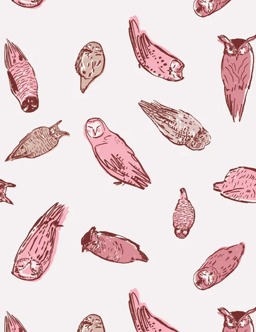 Category : Animals / Collection : Thoughtful Owl