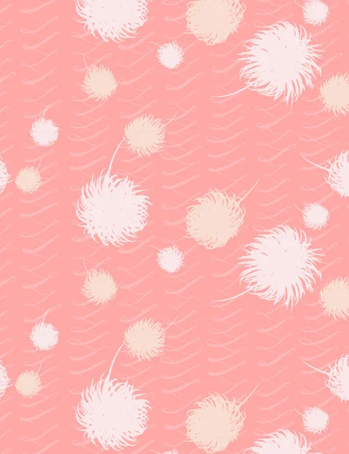 Category : Baby / Collection : Goodnight