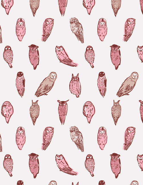 Category : Animals / Collection : Thoughtful Owl