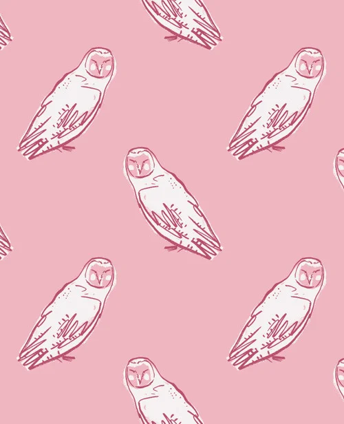 Category : Animals / Collection : Thoughtful Owl