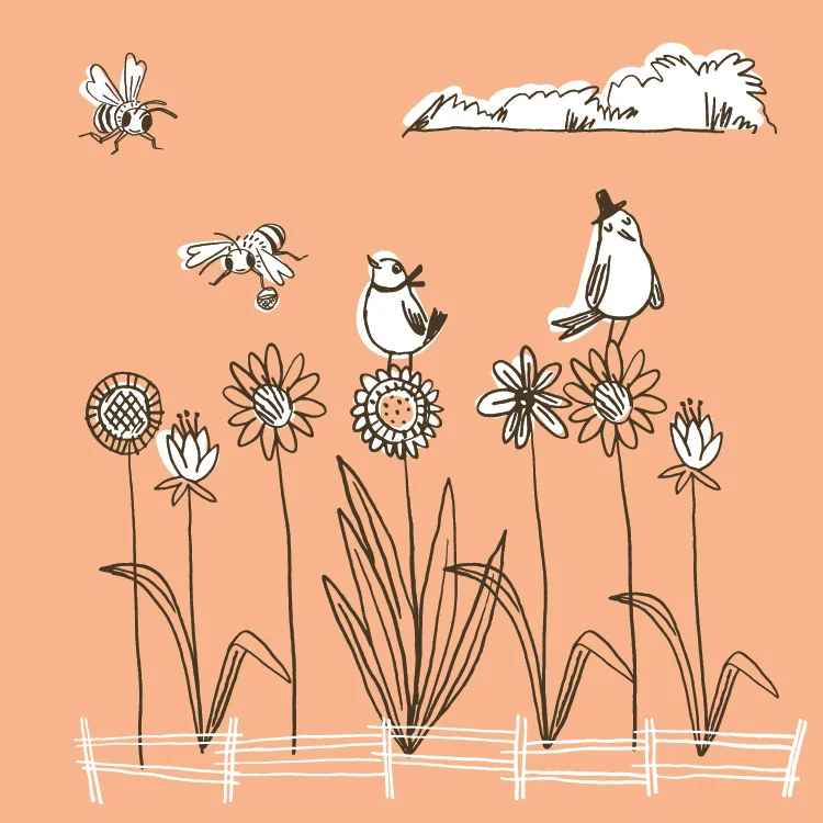 chudleighs_superlayouts_allartboards-02.jpg