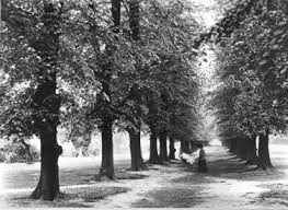 Bush Wood, complete with Victorian nanny