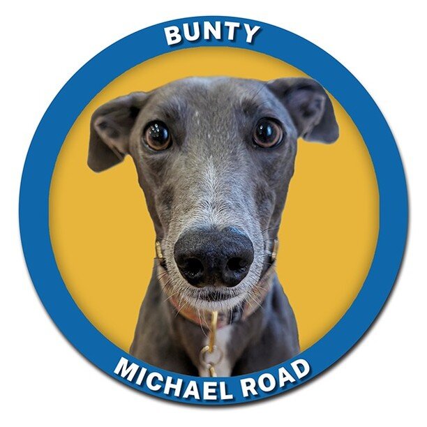 Your Dogs of Bushwood pics are flowing in, here is the latest submission. The gorgeous Bunty of Michael Road.

If you would like your dog to appear on our poster then please email your pics to us. Remember you must be an active BARA memeber to be inc