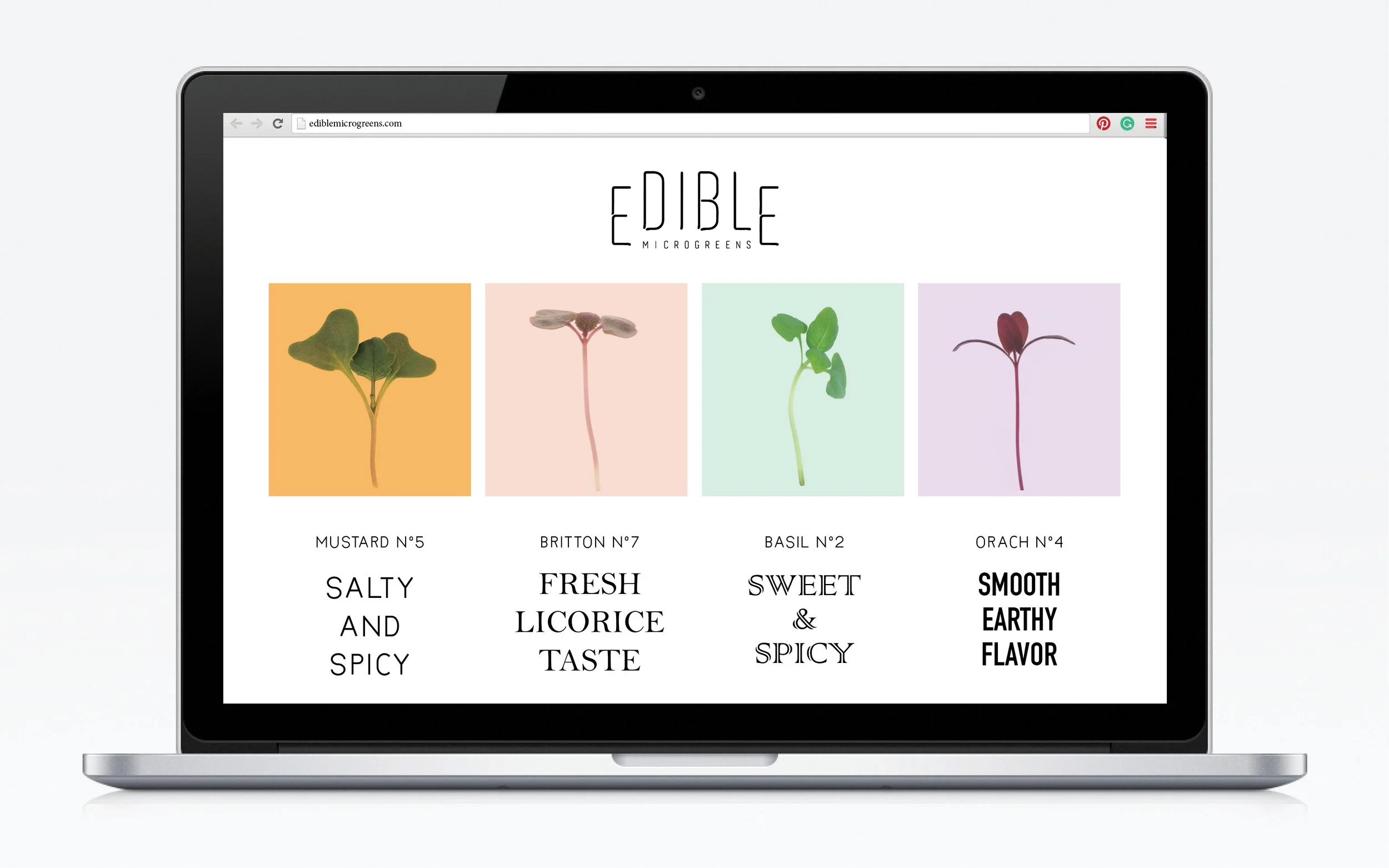EDIBLE28.jpg
