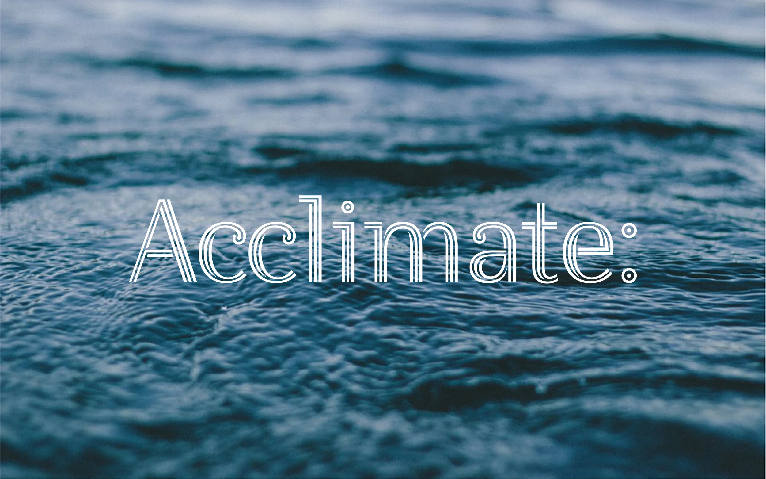 ACCLIMATE_2.jpg