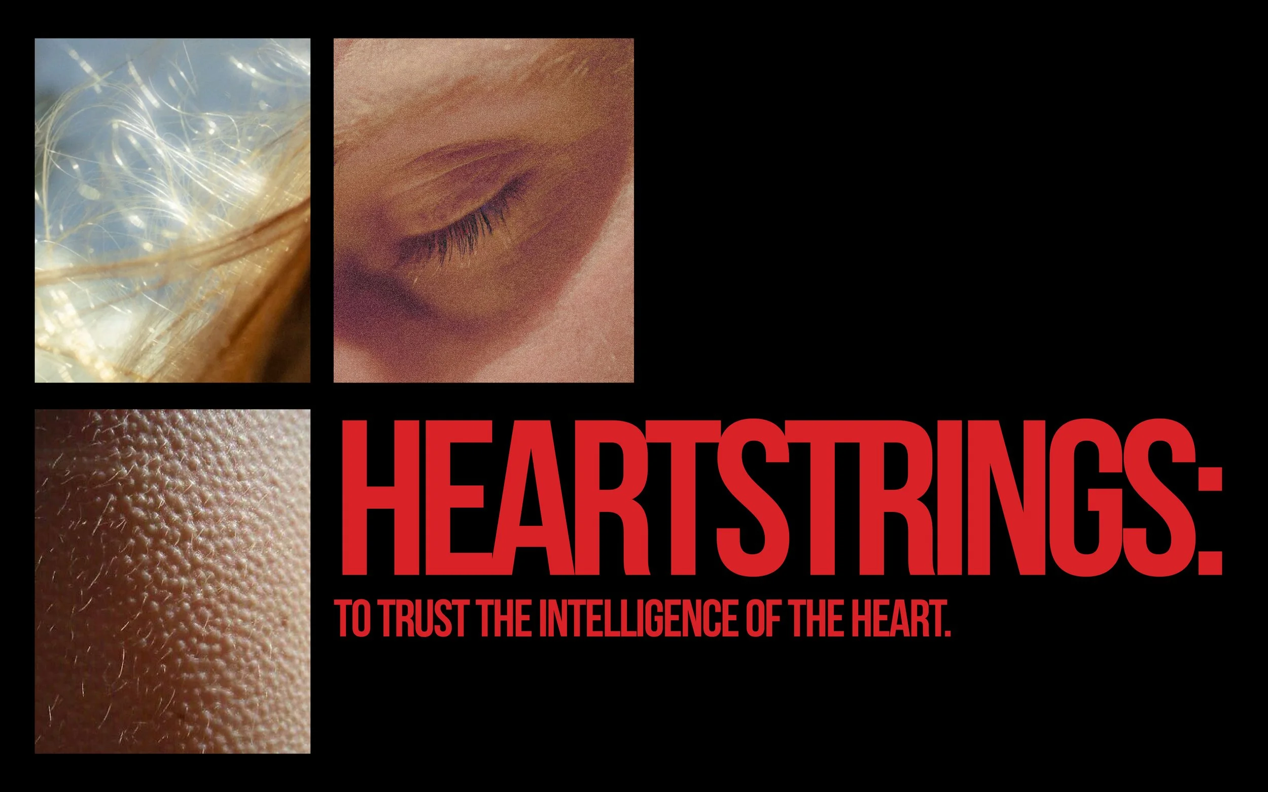 heartstrings5.jpg