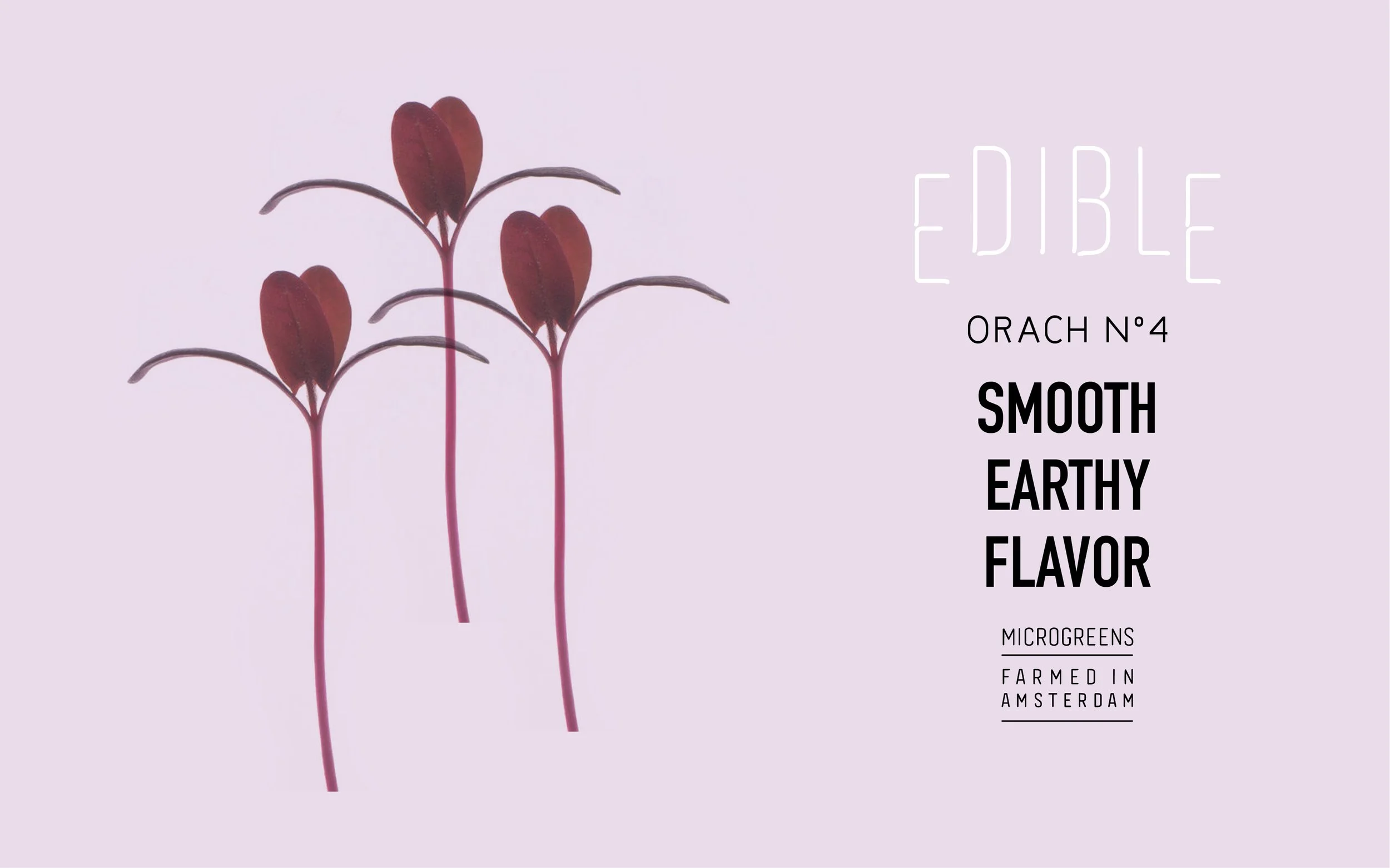 EDIBLE26.jpg