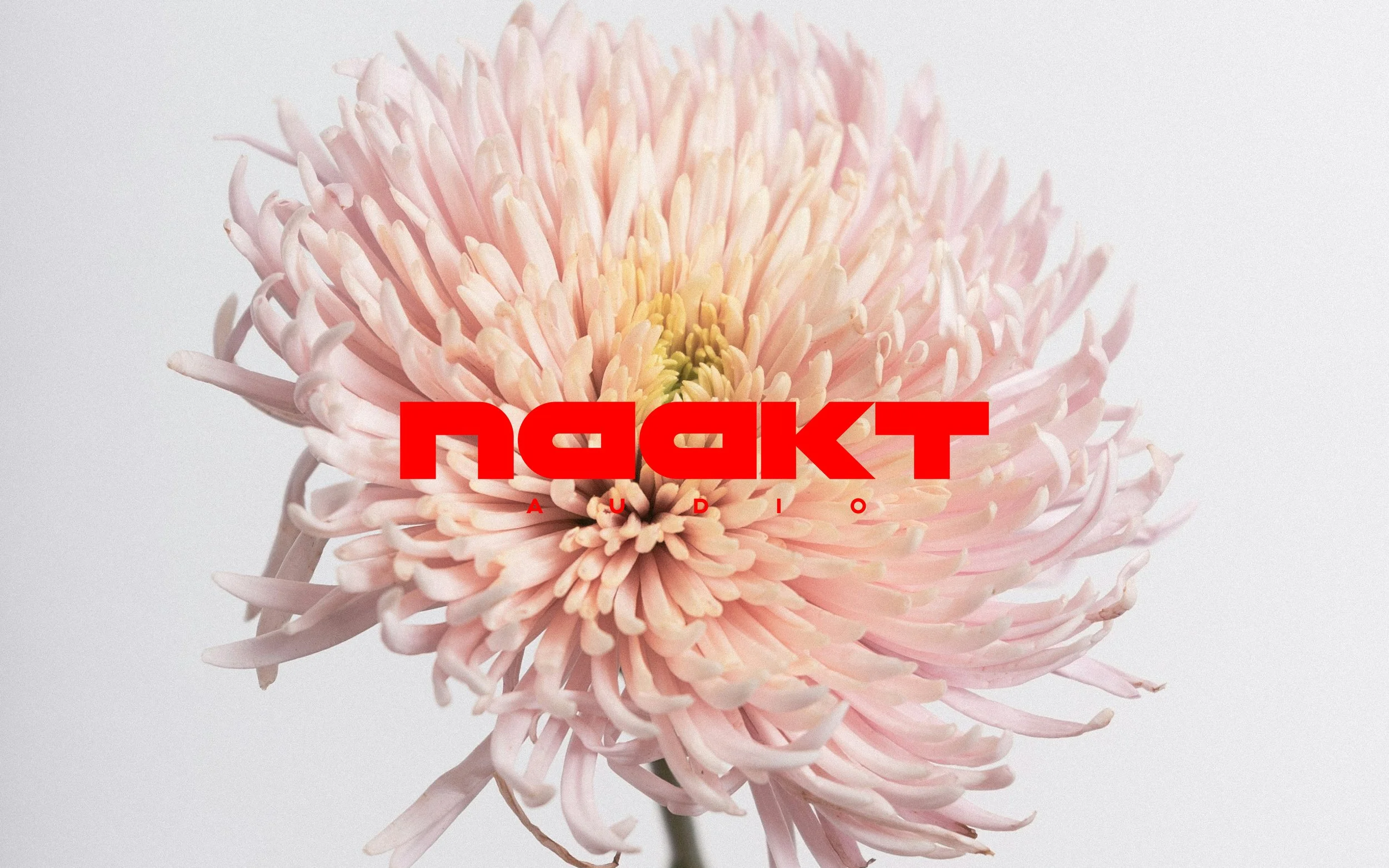 ID_NAAKT4.jpg