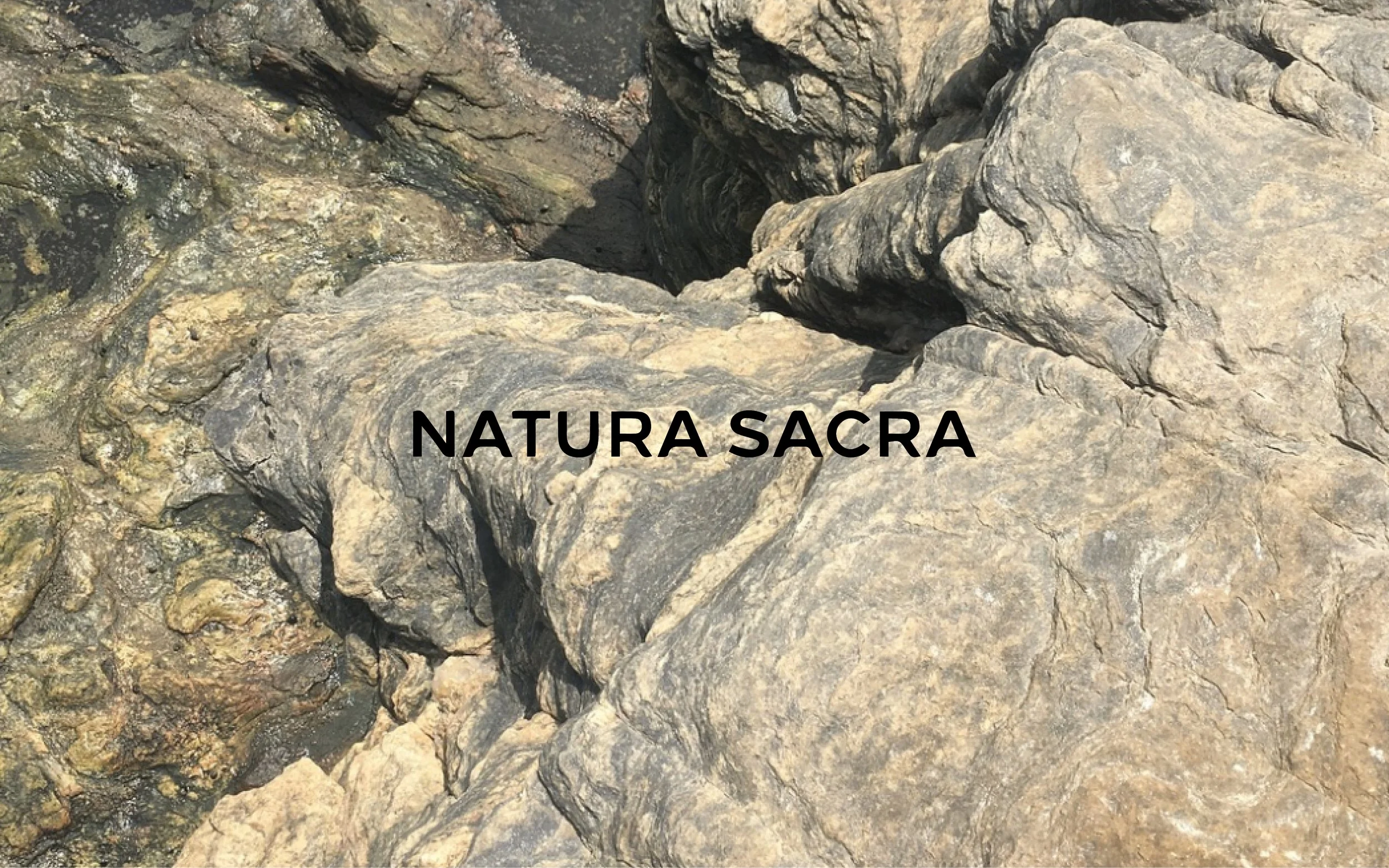 NATURA_SACRA_5.jpg