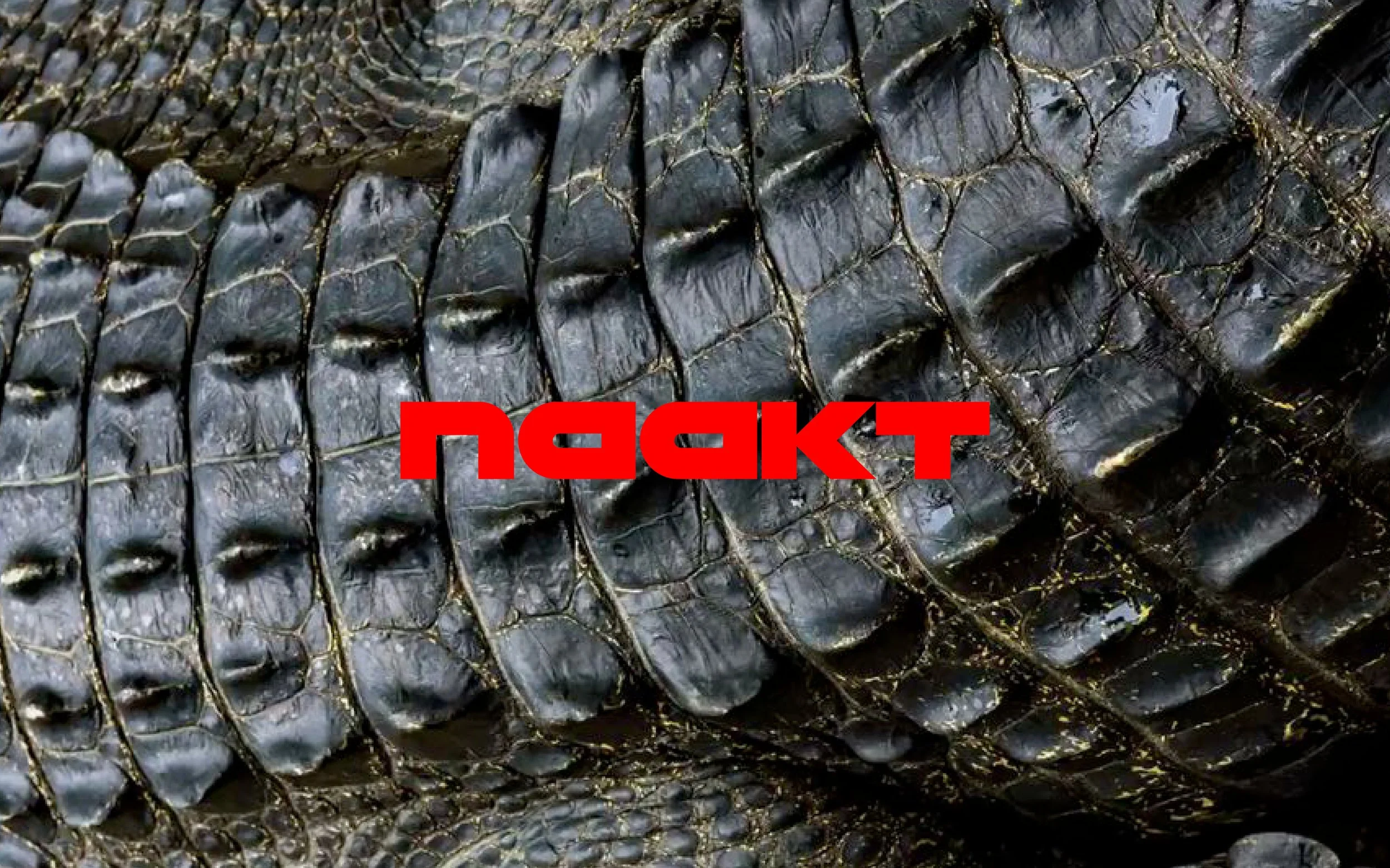 ID_NAAKT.jpg