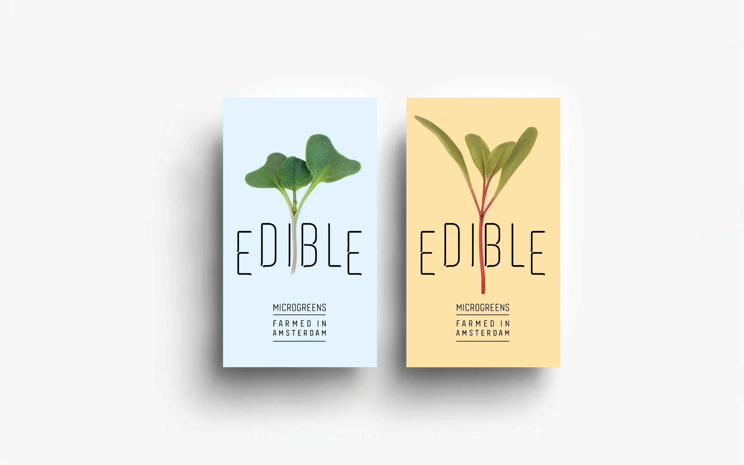 EDIBLE31.jpg