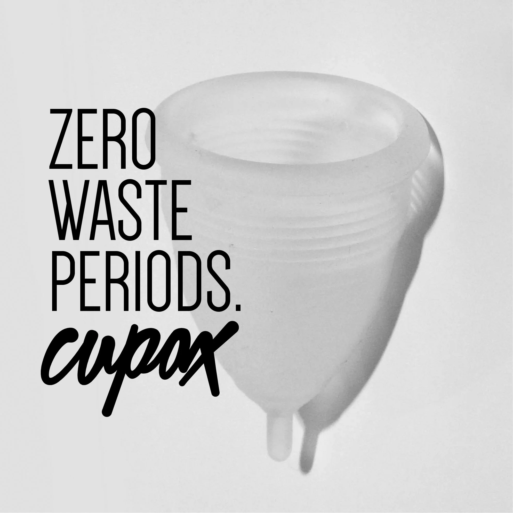 CUPAX_10.jpg