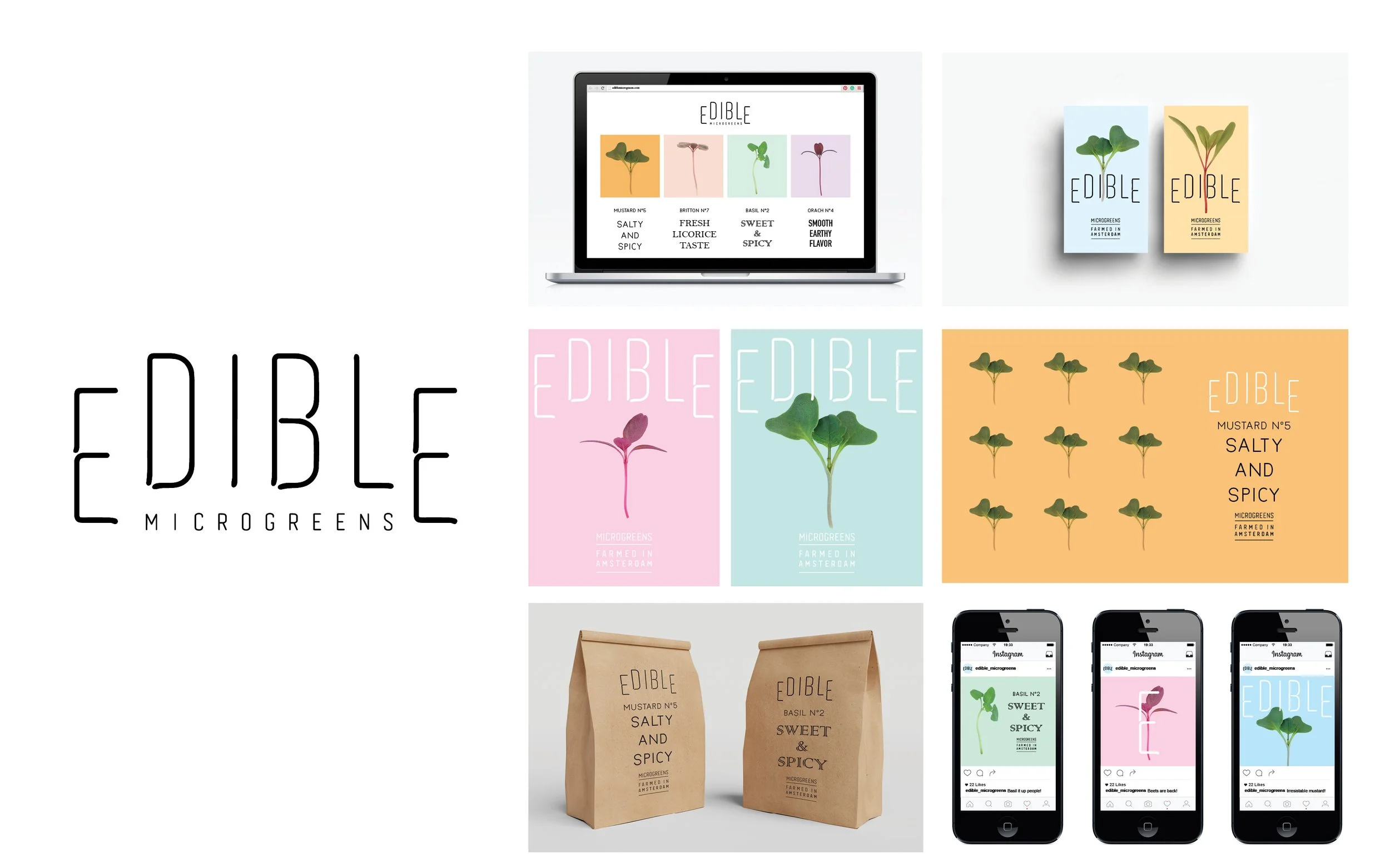EDIBLE34.jpg