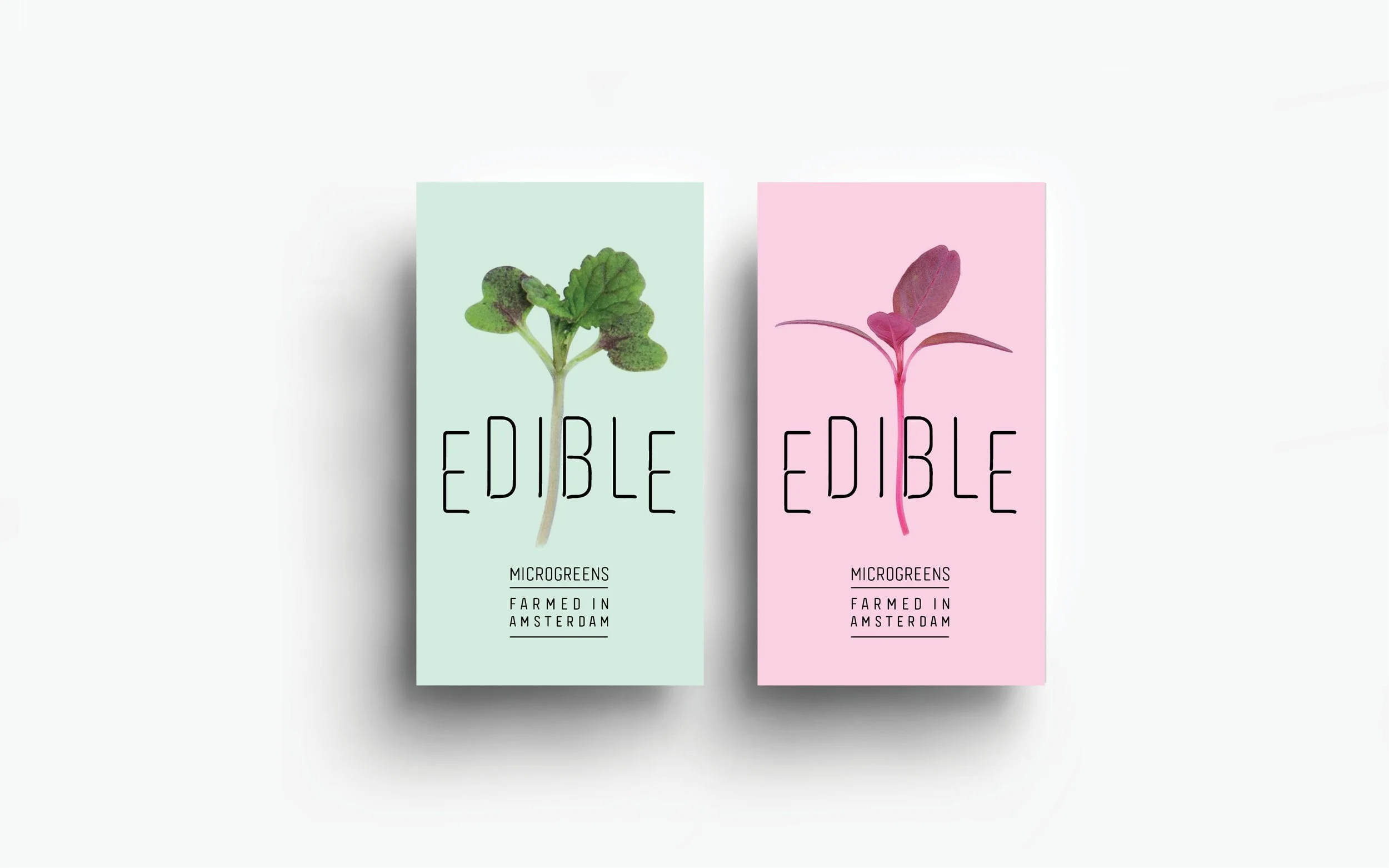 EDIBLE32.jpg