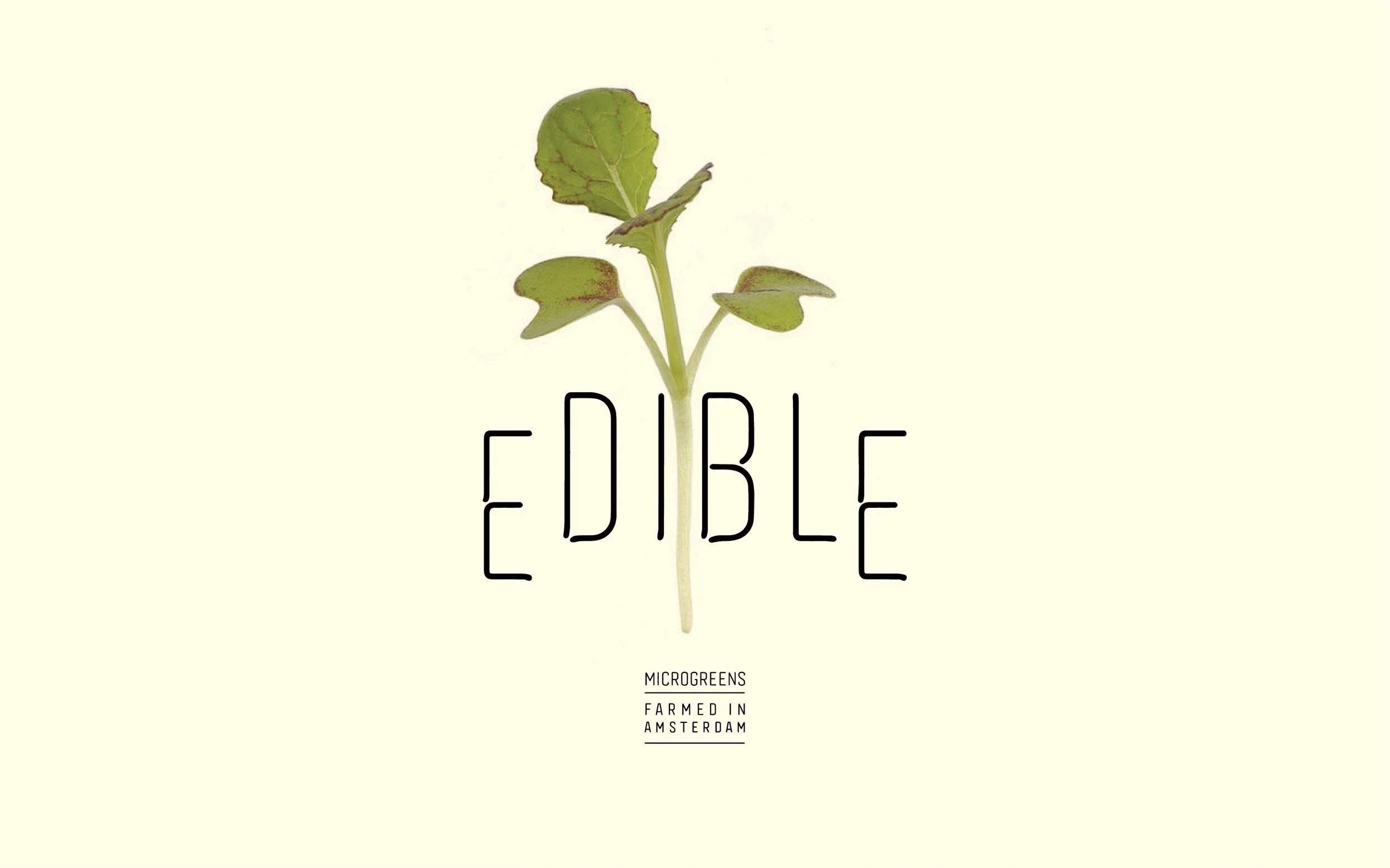 EDIBLE15.jpg