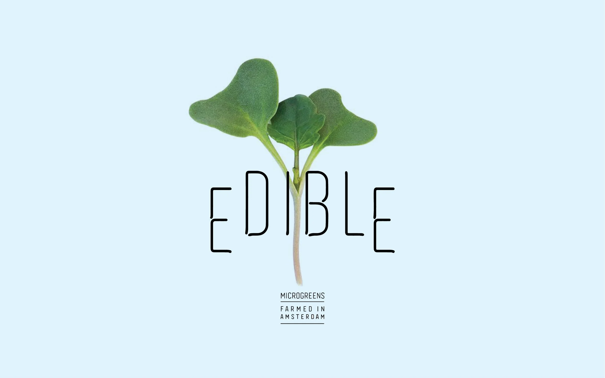 EDIBLE13.jpg