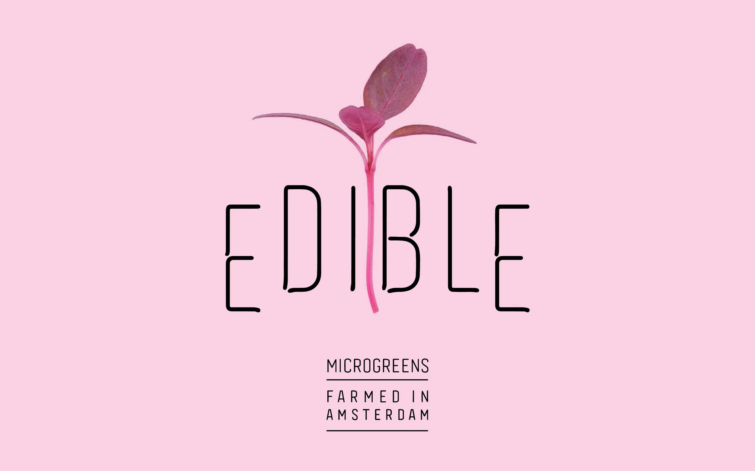 EDIBLE17.jpg