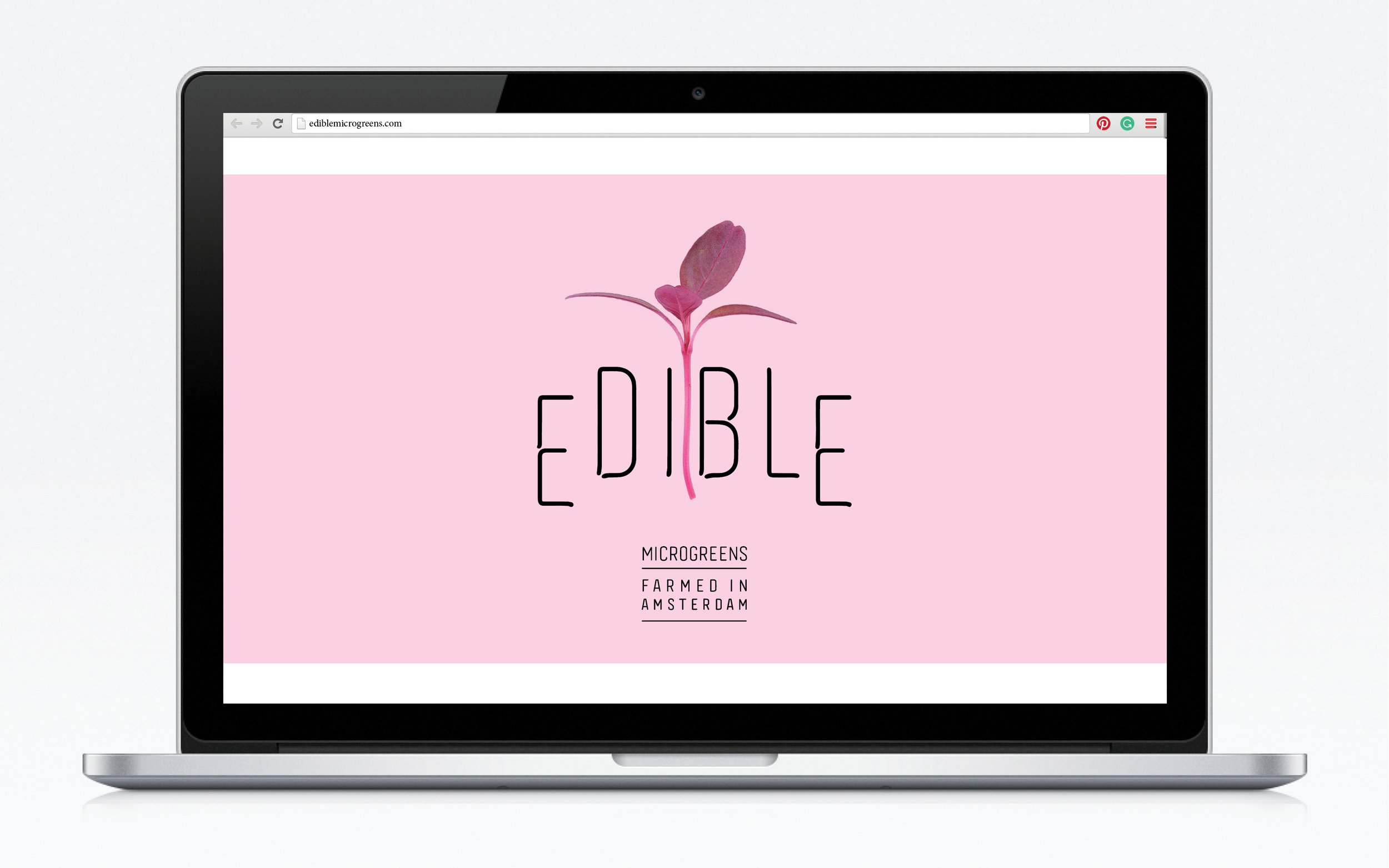 EDIBLE19.jpg